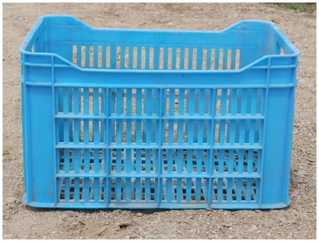 Blue plastic crate