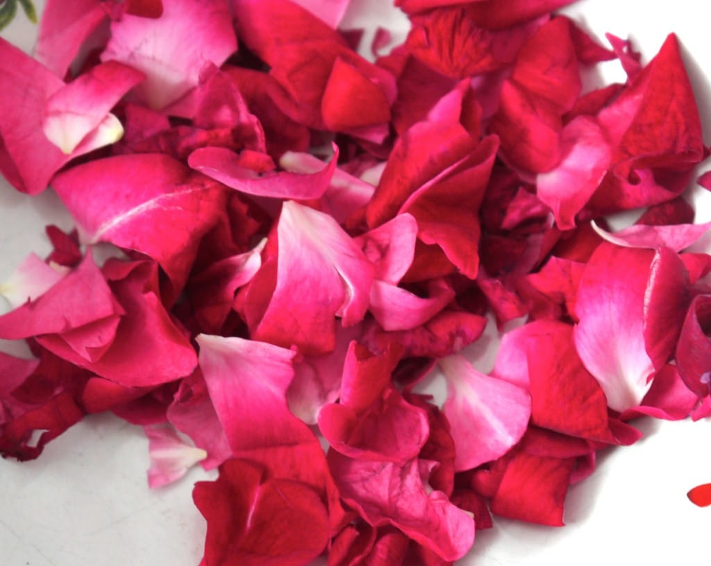 homemade lotion with rose petals