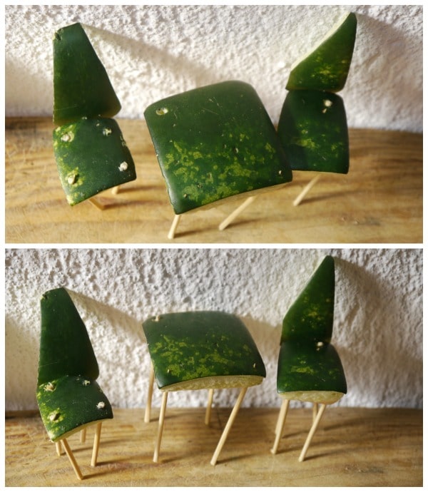 2 images of Watermelon Craft from watermelon peels and tooth picks.