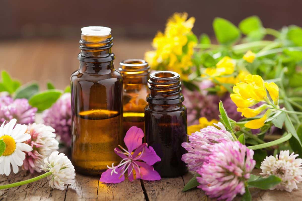 Bunch of essential oil bottles on a table with different varieties of flowers.