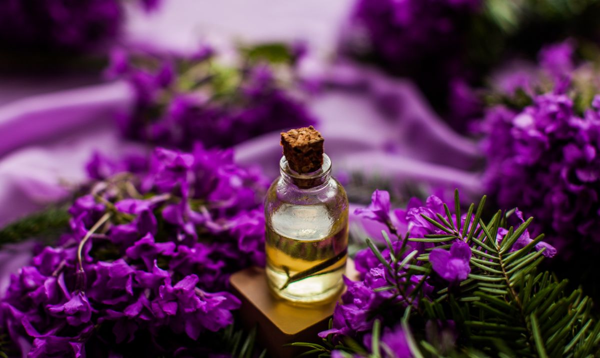 Bottle of levander essential oil with levander flowers around.
