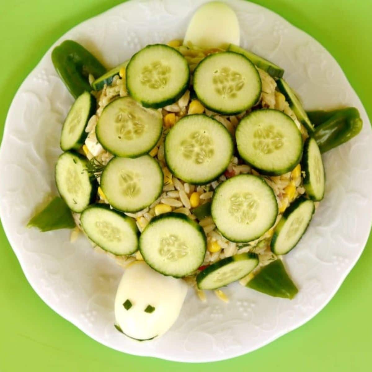 Turtle cucumber salad on a white plate.