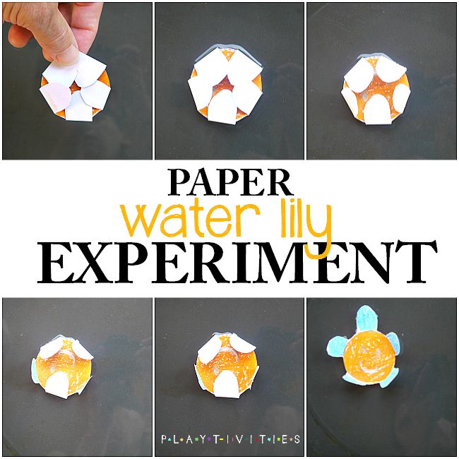 paper experiment for kids