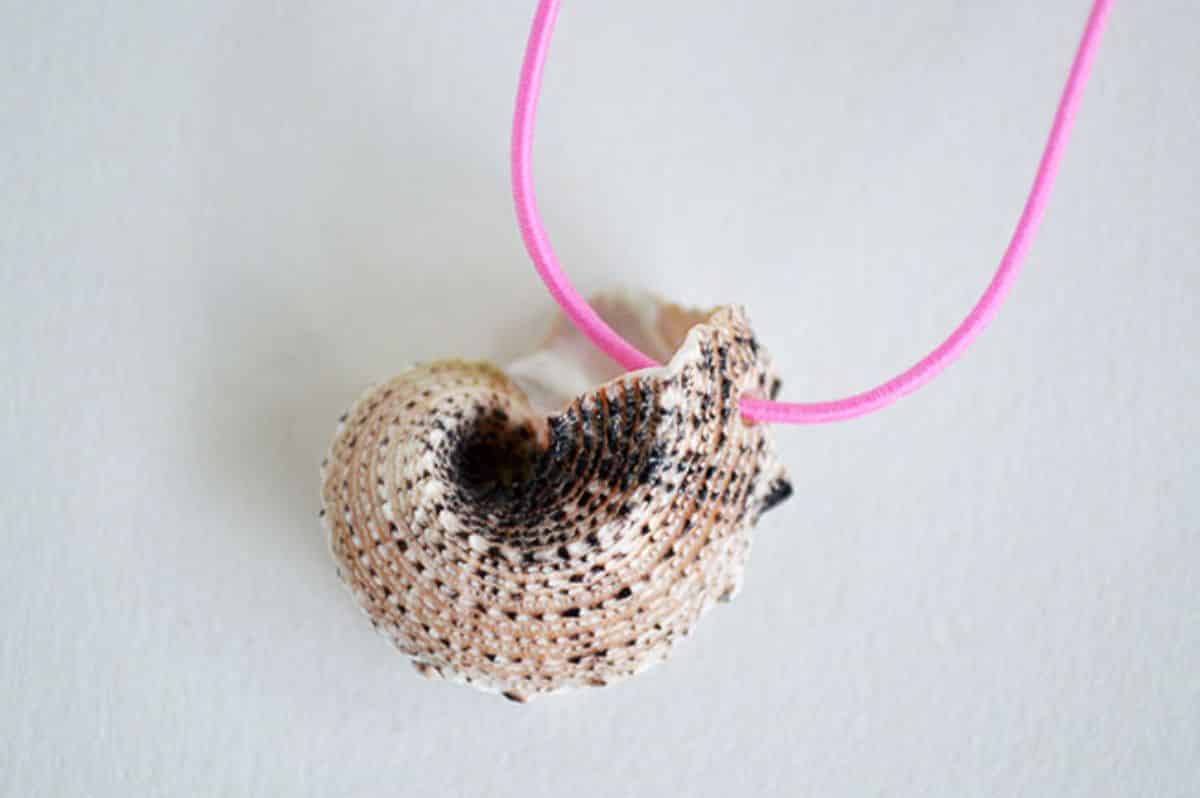 Pink string trough a shell as necklace.