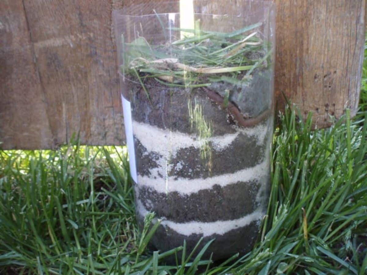 DIY worm farm for kids in a plastic bottle on a green grass near a wooden fence.