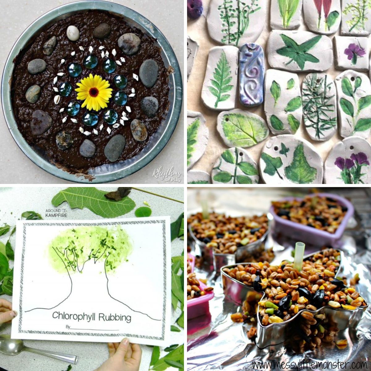 4 images of amazing nature inspired activities.