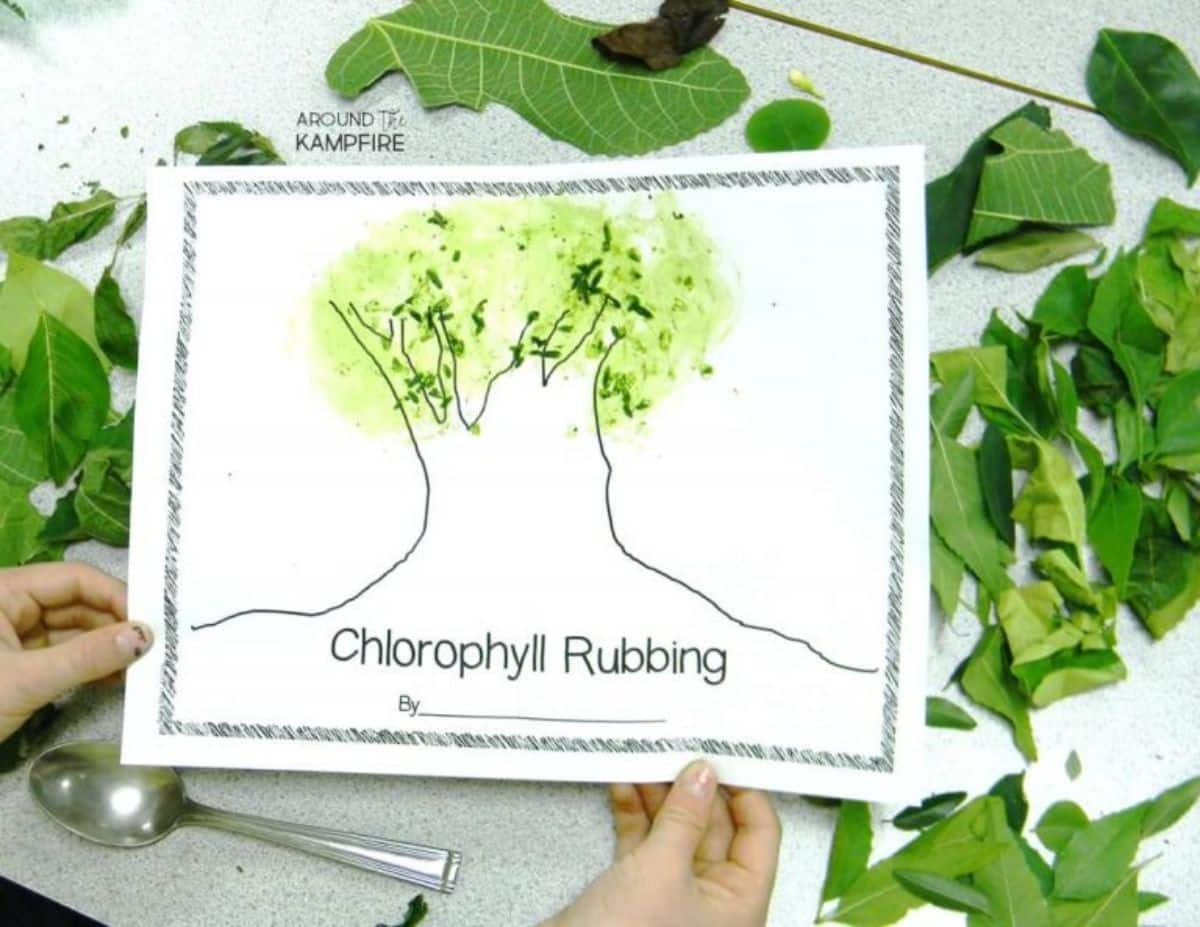Hands are holding a chlorophyll painting on a table with leaves and a spoon.