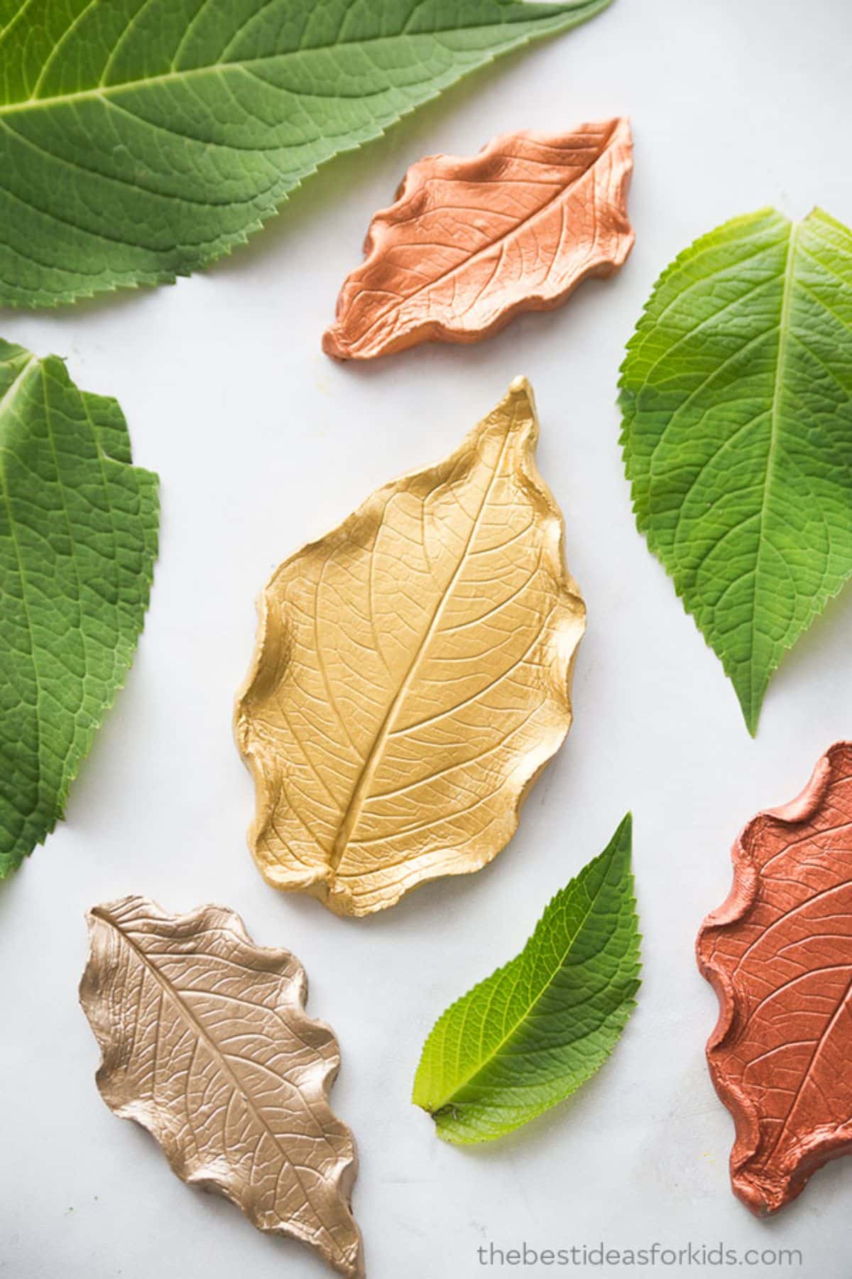 Leaf Clay Dish with leaves on a table.