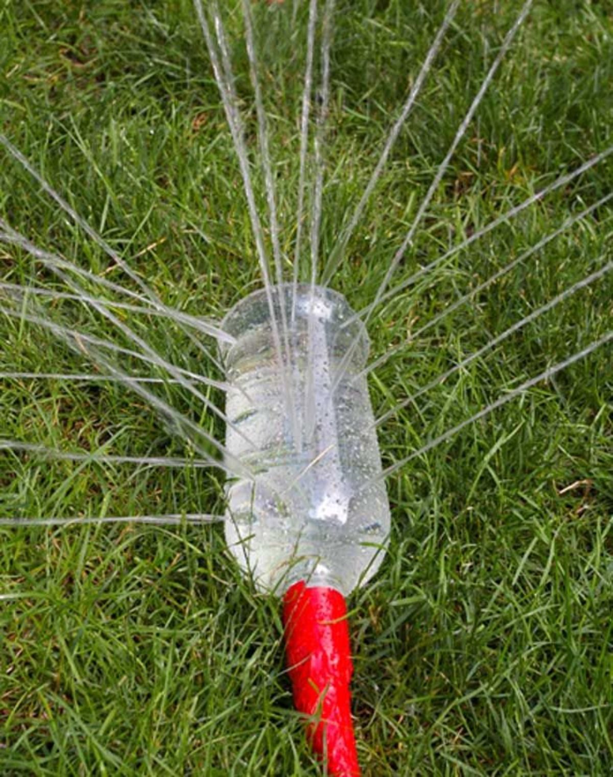 On the grass is a water bottle attached to a hose with holes in it meaning water is gushing out