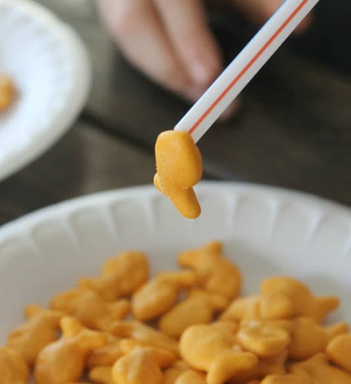 a closeup of a white bowl filled with goldfish crackers. One of these is being liften up with a plastic straw