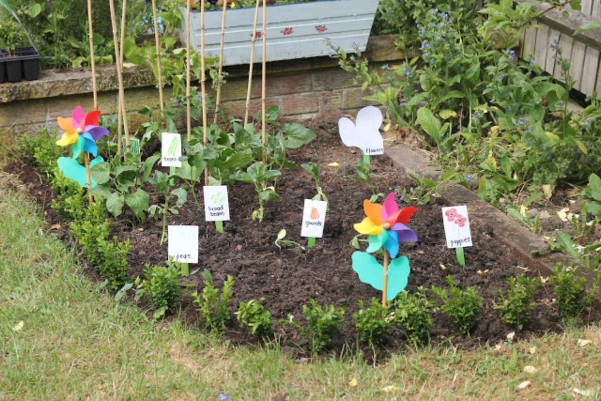 a small soil plot is planted with plants and labelled. two plstic rainbow windmills can be seen