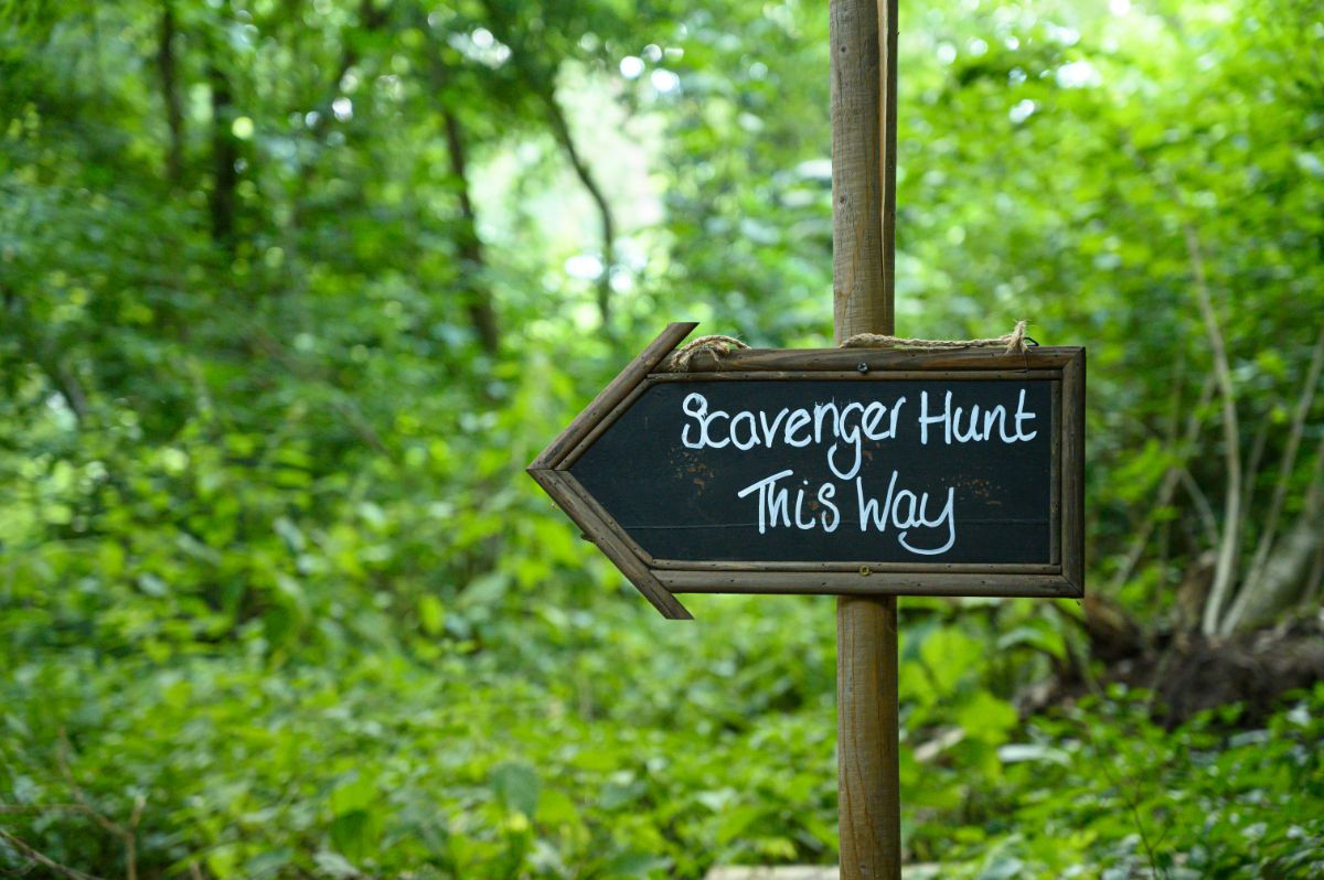 against a background of a forest is a pole. Attached to it is a blackboard sign saying "scavenger hunt this way"