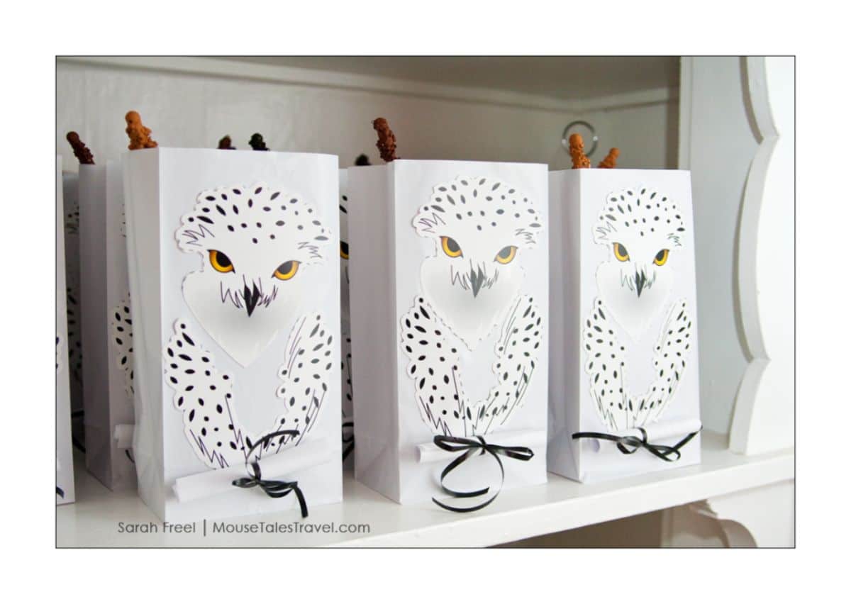 6 paper bags decorated with an owl motif sit on a shelf