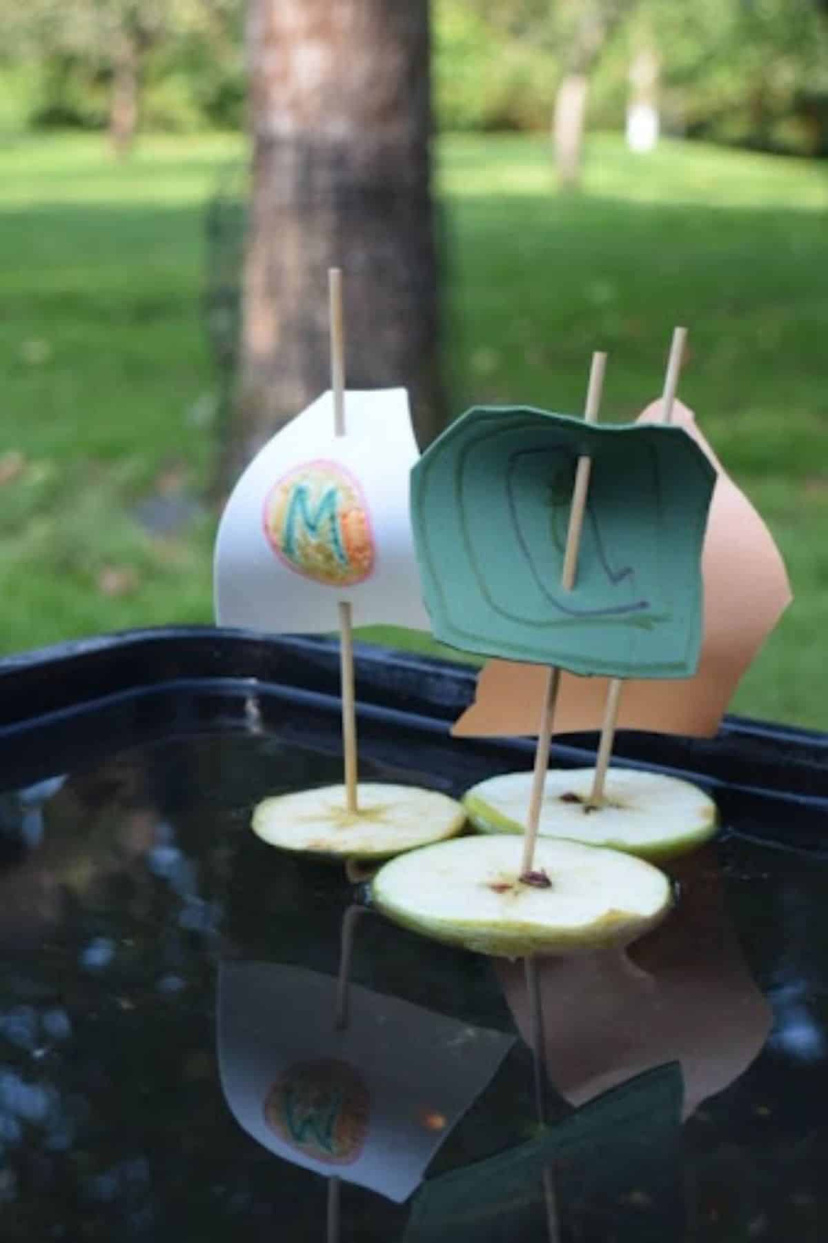 Apple Boat craft