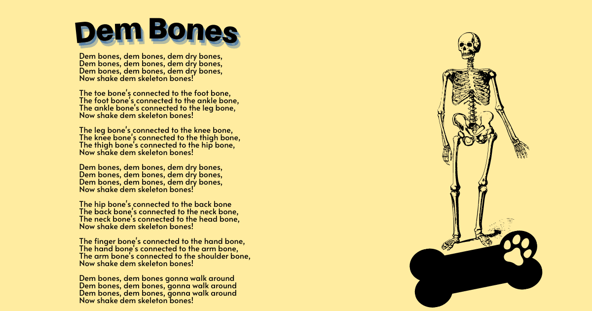 The leg bones connected to the hip bone…