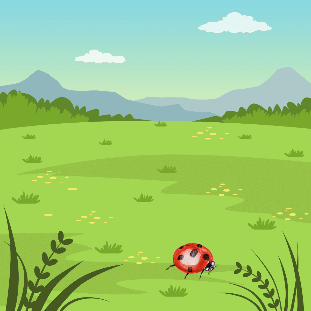 Ladybird in a filed graphics