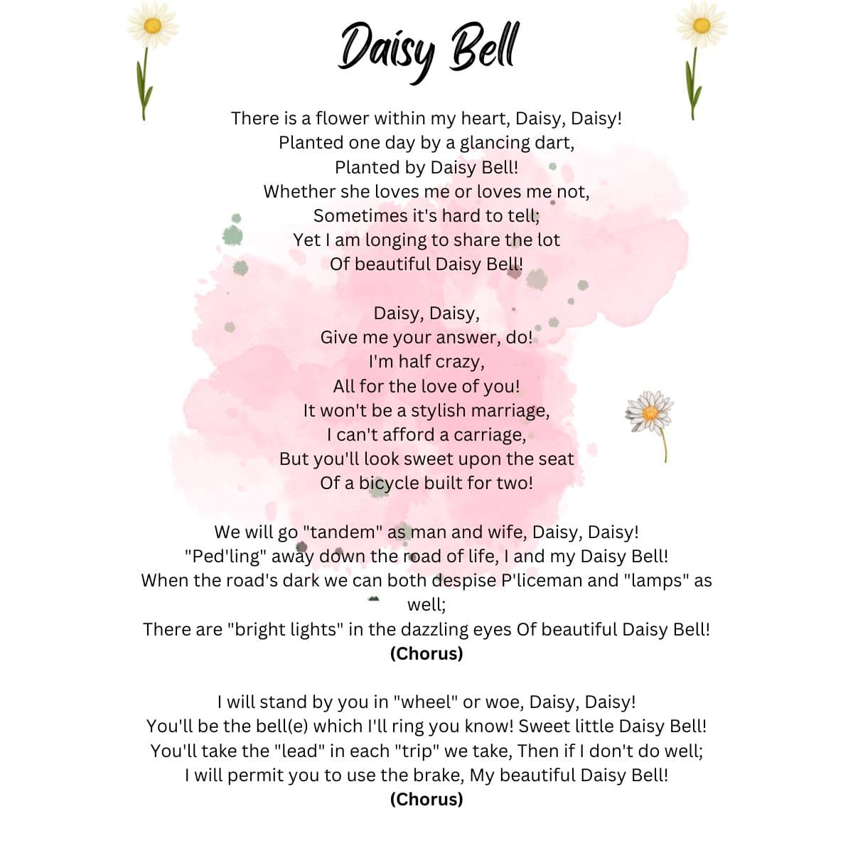 Daisy Bell Lyrics on a White and Pink Background
