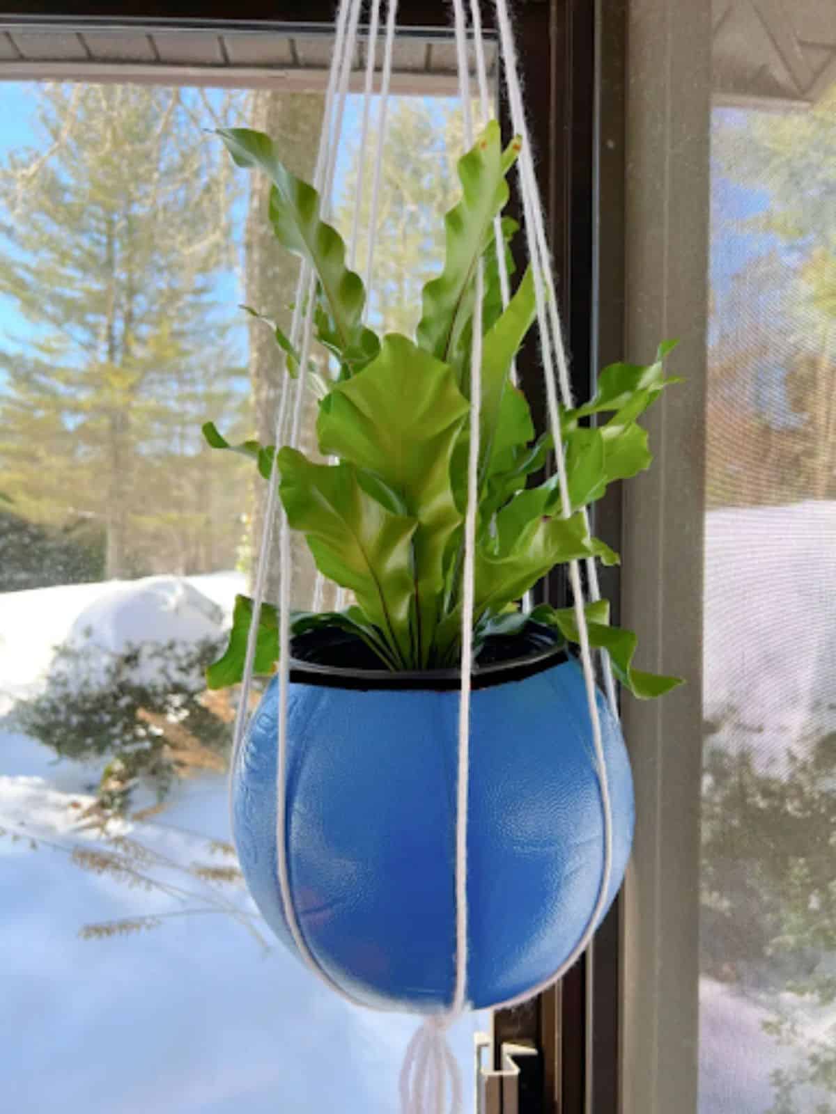 Sports-themed Plant Pots