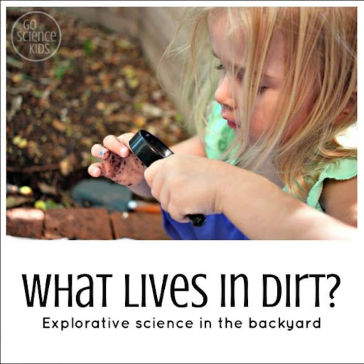 Investigate the Dirt